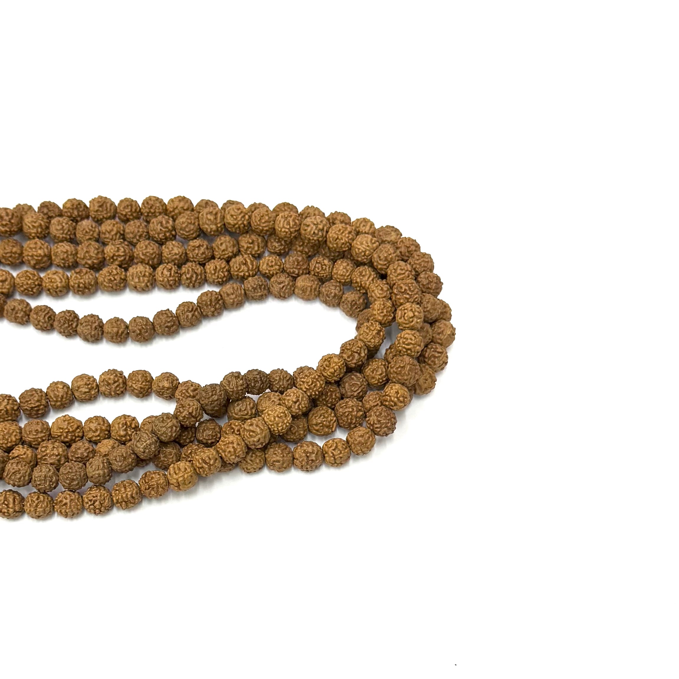 SEMILLA DE RUDRAKSHA