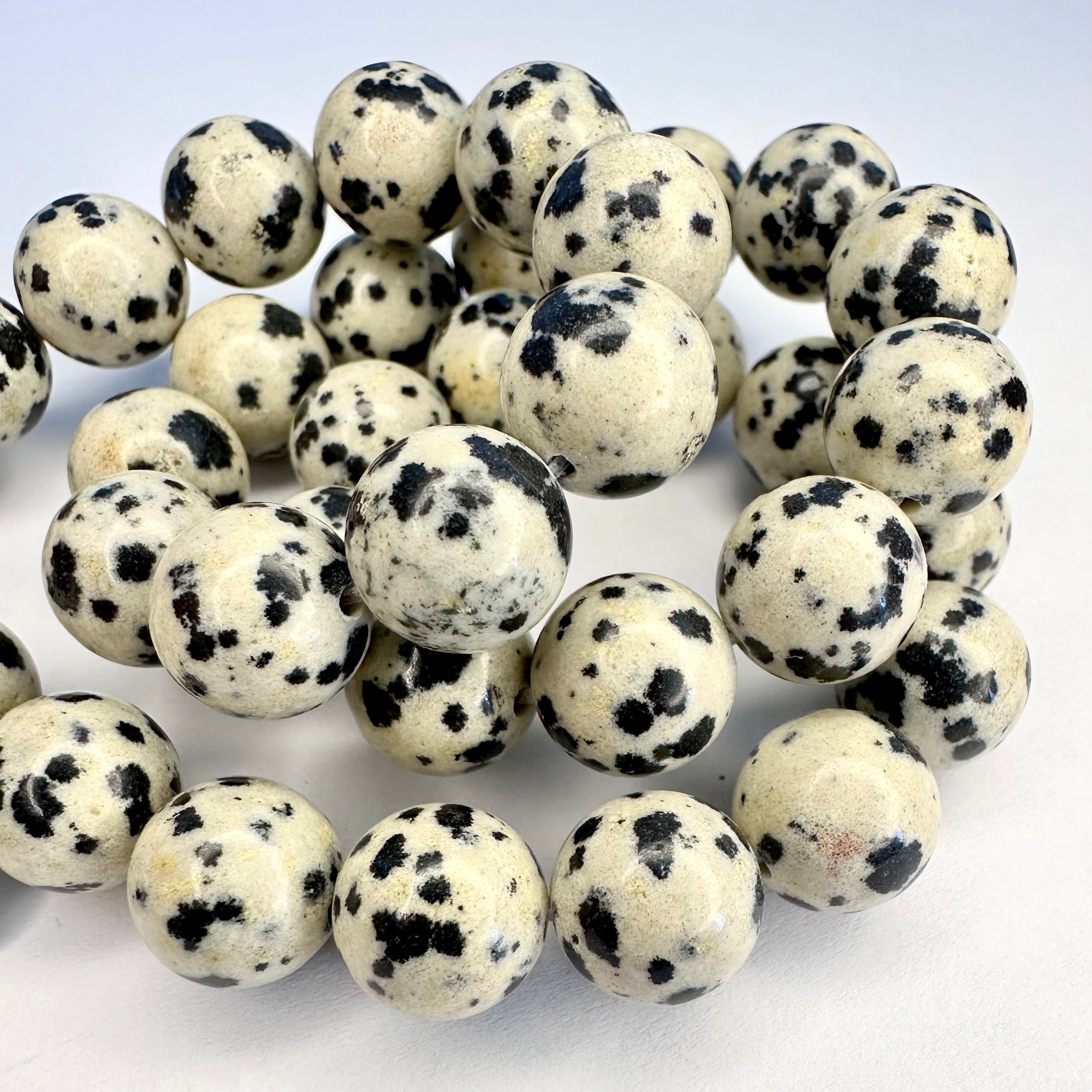 JASPE DALMATA