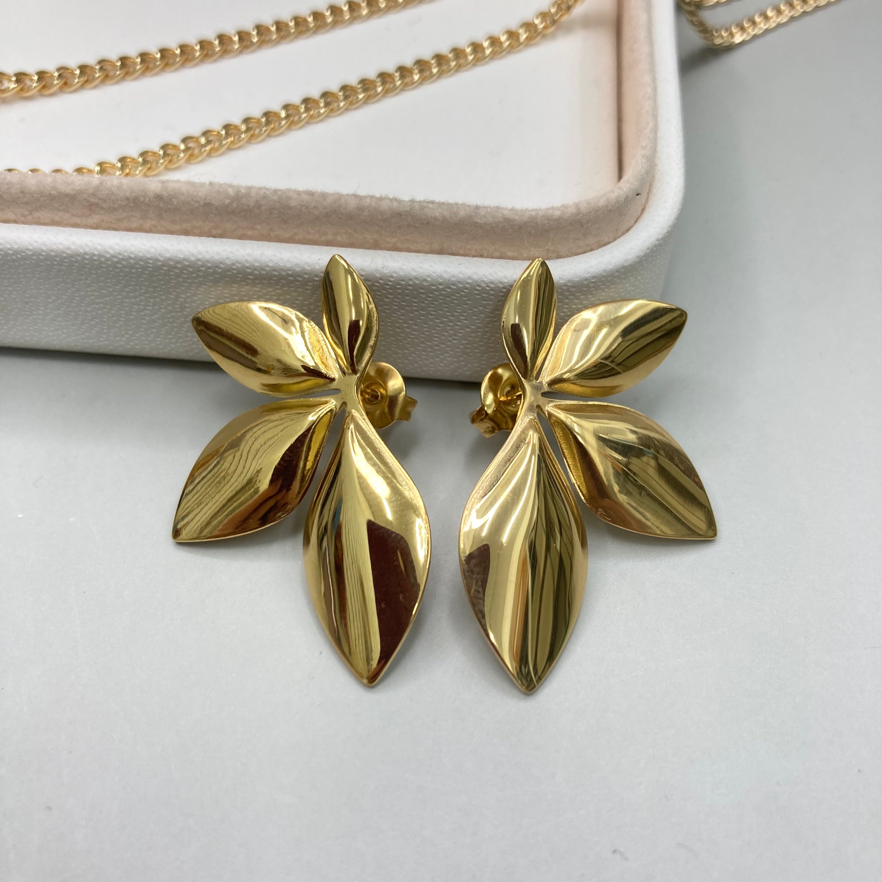 AROS | HOJAS DE OLIVO