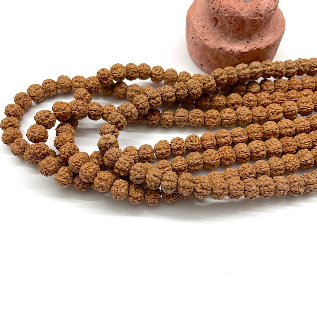 SEMILLA DE RUDRAKSHA